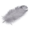 Pštrosí peří délka 60 cm (Varianta 9 bílá, Balení 1 ks)