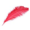 Pštrosí peří délka 60 cm (Varianta 9 bílá, Balení 1 ks)