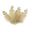 Husí peří kudrnaté délka 12-18 cm (Varianta 1 bílá, Balení 4 ks)