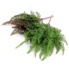 Umělé kapradí 2. jakost (Varianta 1 zelené kapradí, Balení 1 svaz.)