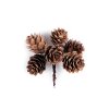 Přírodní šišky na drátku (Varianta hnědá přírodní, Balení 6 ks)