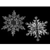 Dekorační vločky Ø10; 11 cm k zavěšení (Varianta 1 transparent, Balení 1 ks)