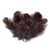 Bažantí peří délka 5-7 cm (Varianta 1 béžová tm., Balení 1 sáček)