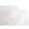 Pštrosí peří délka 40-45 cm nebělené (Varianta bílá přírodní, Balení 1 ks)