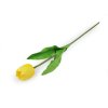 Umělý tulipán dlouhý (Varianta 1 krémová nejsvět., Balení 1 ks)