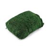 Dekorační přírodní mech 450 g (Varianta zelená jedle, Balení 1 sáček)