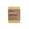 2023 Mulieres Sponges kodukale