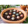blossombs lifestyle 03 115d358c 084d 42cf 909a d4b23c7478f3