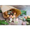 blossombs lifestyle 02 e691716c 7c7c 44f5 9d86 b76a5bdbf575