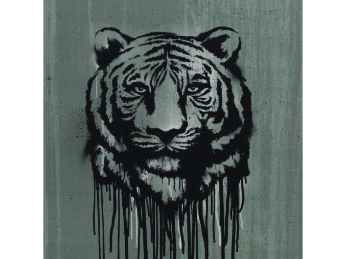 081309 100267 wild tiger thorsten berger 40