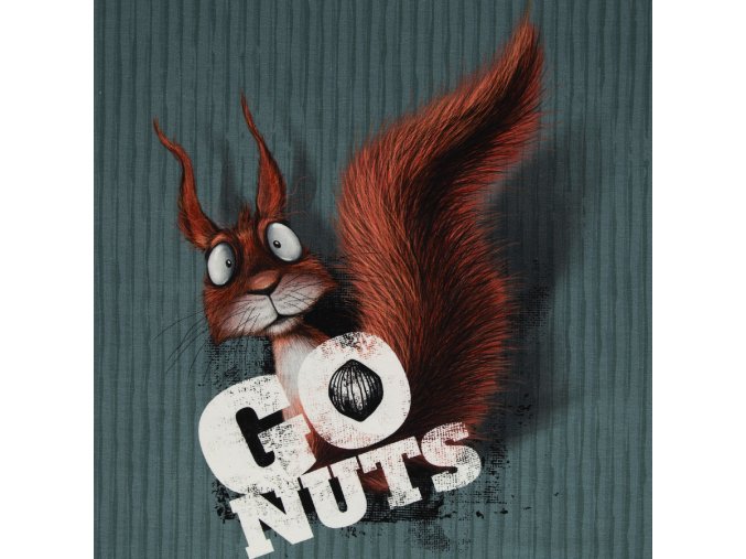 330176803 875228023757341 2688384969860596451 n