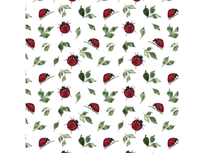 ladybug