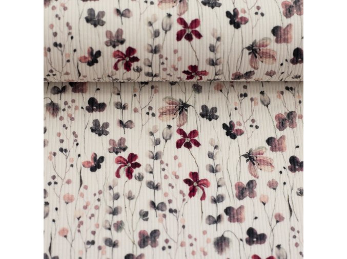 488243456 10230059981987060 4509725569672963565 n