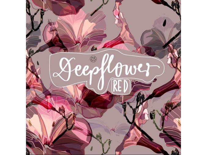 306184473 10223460893013960 6620720275838514595 n