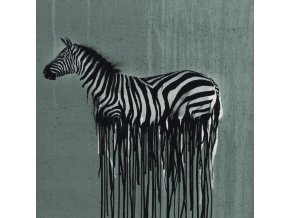 081227 100267 wild zebra thorsten berger 40