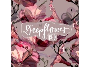 306184473 10223460893013960 6620720275838514595 n