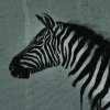 Bavlněný úplet zebra - panel