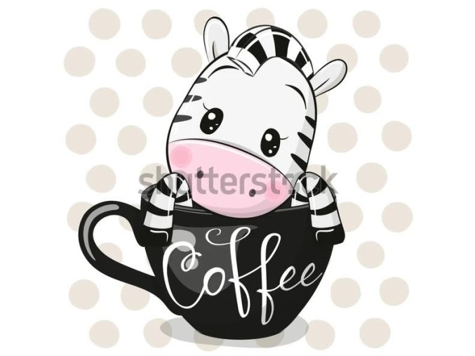 zebra