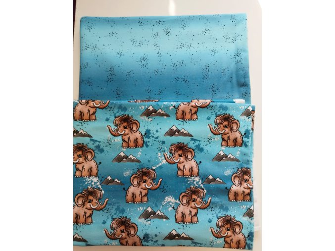 WhatsApp Image 2026 01 21 at 12.01.27