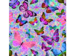 stock photo tropical colored butterflies on a colorful background 1430910824