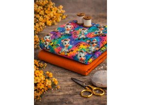 607019793 1470702781726069 672266804500854985 n (2)