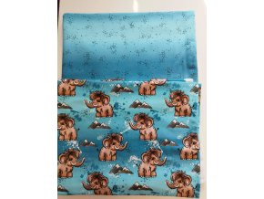 WhatsApp Image 2026 01 21 at 12.01.27