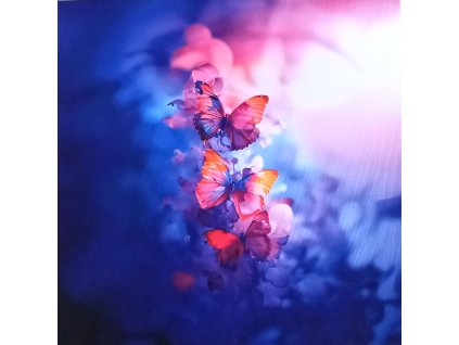 Kočárkovina * 284 * PANEL 38x38 cm