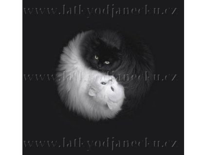 42. Kočárkovina PANEL 50x50 cm