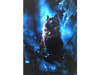 Bavlněný úplet * Černá kočka * PANEL M
