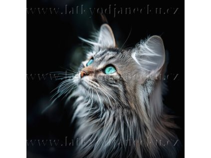 03. Kočárkovina PANEL 50x50 cm