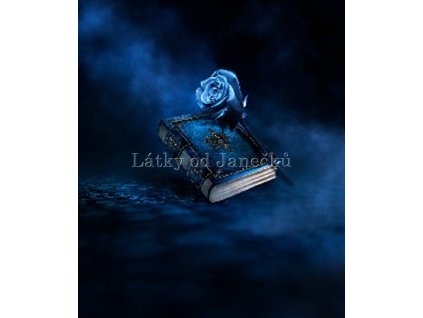 Teplákovina 240g - PANEL na přední díl - XL 80 cm - Kniha s růží