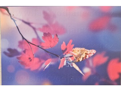 Wasserdichtes Polyestergewebe - Bild 7 * Mini-Tafel 20x30cm