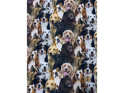 72A323CC 49BF 476E 80BC 374619959846