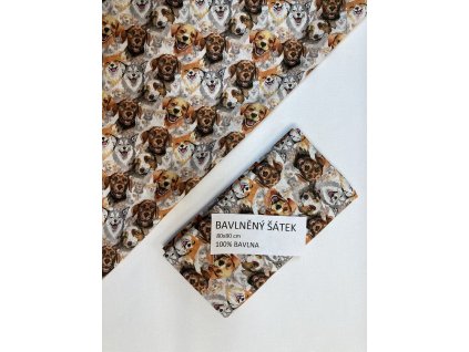 F3AF19A5 E11E 42E1 BF79 A2B22CC75F49