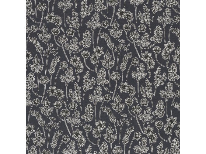 081362 100599 herbarium lila lotta 40