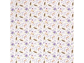 50cb6b110445271ecb2110ec2f9915e7 2000x