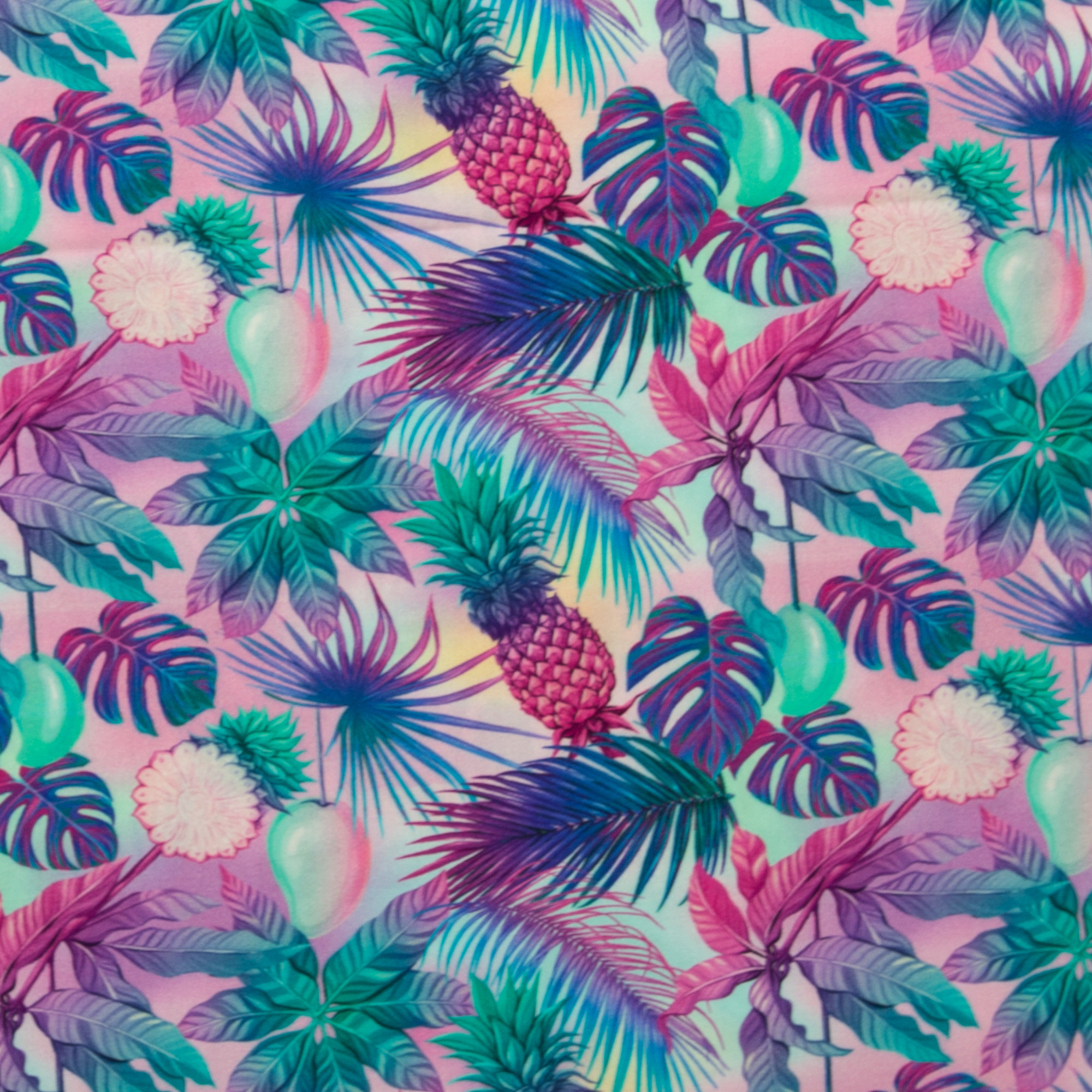 Visk za Ananas L tky Ze Lhoty visk-za-ananas-l-tky-ze-lhoty
