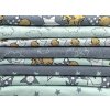 Steinbeck Swafing FS22 HeavenlyFriends mint grau q (1)