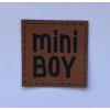 mini boy