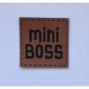 mini boss