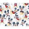 mickey mouse bílý kopie