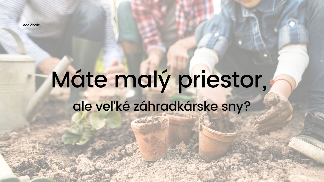 zahradka priestor