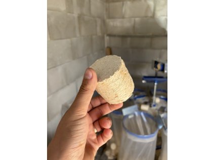 534515575 10234383634604190 7487830294733618485 n