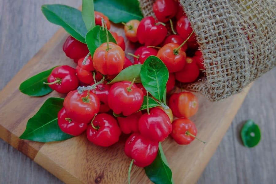 Acerola jako přírodní zdroj vitamínu C