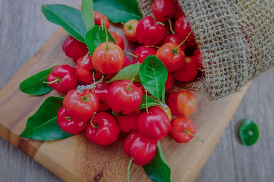 acerola-latta-rose