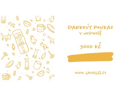 Dárkový poukaz 3000 Kč