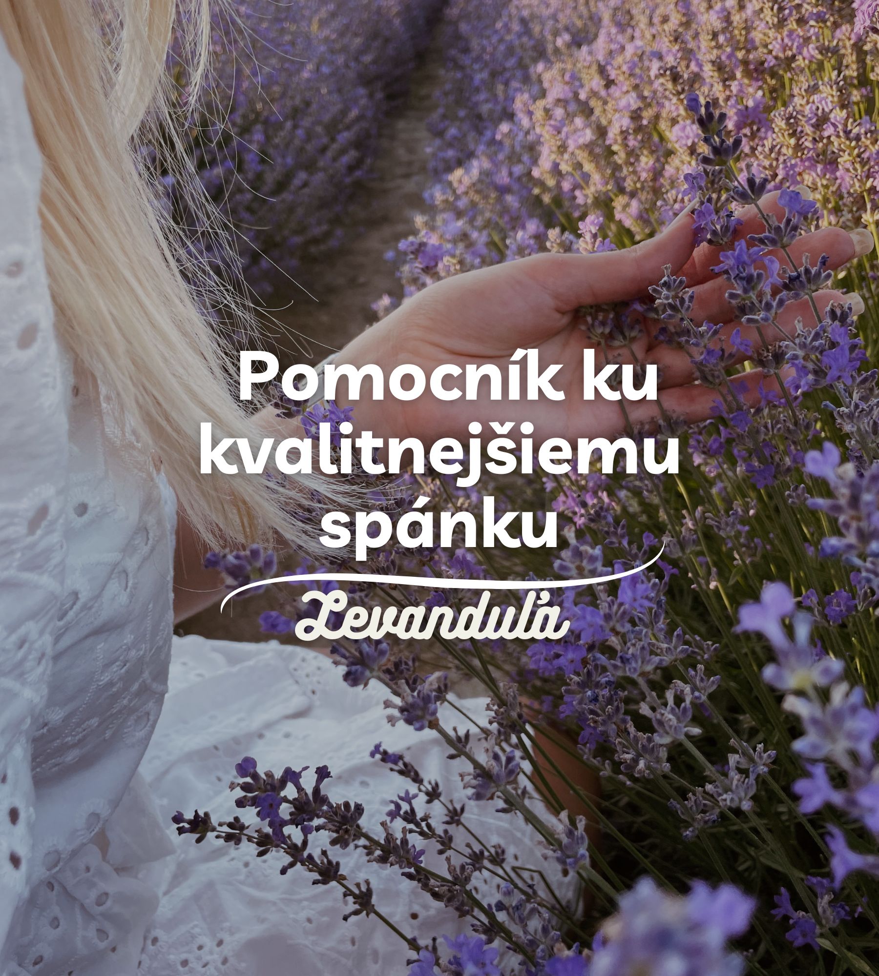 Levanduľa: pomocník ku kvalitnejšiemu spánku