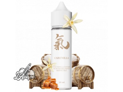 Příchuť SNV 20 ml v 60ml lahvičce - Ghost Bus Club Carenilla SnV 20 ml lavape.cz