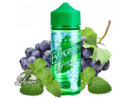 Evergreen Grape Mint SnV 30 ml aroma ve 120 ml Chubby gorila lahvičce - hrozny, máta. lavape.cz