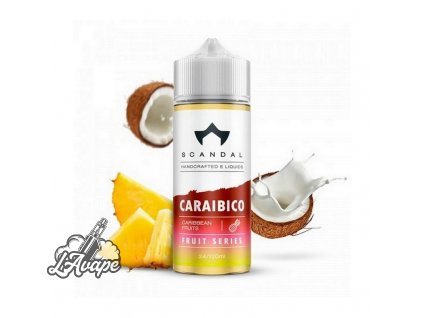 Příchuť SNV 24 ml v 120ml lahvičce - Scandal Flavors Fruit Caraibico 24/120ml. lavape.cz